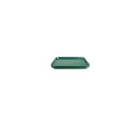 Plateau self-service (L)450 x (P)350 mm, en polypropylène vert