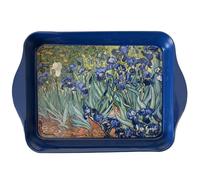 Enesco Vide Poches Metal Iris