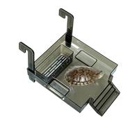 Plateforme De Baignade Pour Tortues D'Aquarium Îlot Pour Animaux Avec | Plateforme Pour Aquarium À Tortue Pour Balcon Restaurant Salon Grenouille Tortues Crabes Salamandres
