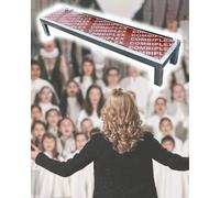 Plateforme d'escalier choral pour représentations et sièges publics, amélioration de la présence sur scène et visualisation du public, design polyvalent pour les événements et les rassemblements