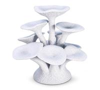 Plateforme pr Reptiles, Champignon, Grand, 15cm | Construction , Scenery champignon terrarium, Création d’espace grimpant, Pr créateurs terrariums