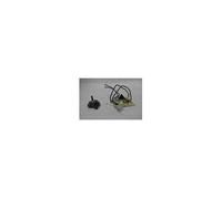 Platine 432200624702
