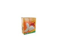 Plâtre de moulage 1 kg