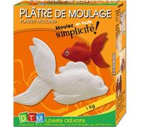 Plâtre De Moulage 1 Kg