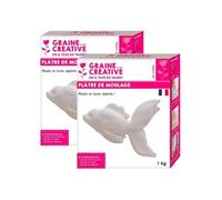 Plâtre de moulage 2 kg