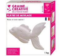 Plâtre de moulage 1 kg G