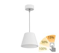Plâtre Lampe à suspendre GIEDI DIY incl. lampe GX53 541lm blanc chaud