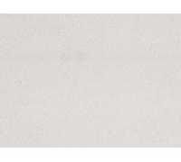 Plâtré Mural Décoratifs Plastique Feuilles 100 X 200 MM (Paquet De 2) Auhagen