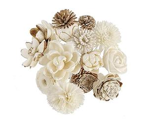 Plawanature Scent Lot de 12 diffuseurs d'huile parfumée Pot de fleur en bois