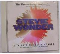 Play The Hits Made Famous by Stevie Wonder [Import]
