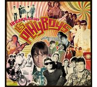 Playboys - Anthologie [Import]