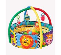 Playgro 0184007 Piscine à balles et tapis de jeu 4 en 1, multicolore