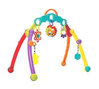 Playgro Arche de jeux pliante Junyju Fold and Go – Jouets détachables dès la naissance, Multicolore