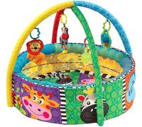 Playgro - Ball Activity Nest - Tapis De Jeu Avec Balles, 5 Configurations Différentes ! - Fosse À Balles - Tapis De Jeu - Centre D'activités - Playgym - Lay & Play