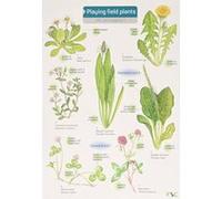 Playing Field Plants (FSC Mini Projects) - [Version Originale] Inconnu (Auteur)