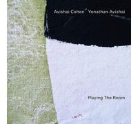 Playing The Room [CD] NEUF