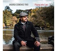 Playing Who I Am / Andrea Domenici Trio
