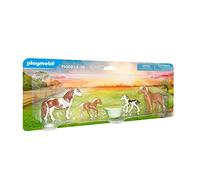 Country 2 poneys islandais et poulains