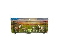 Country 2 poneys islandais et poulains