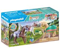 3 chevaux morgan, quarter horse & shagya