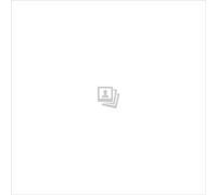 PLAYMOBIL 71904 My Life - Ice Cream Truck mit Surfshop
