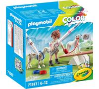 PLAYMOBIL AUSTRIA BRANDSTÄTTER Hundetraining 0