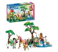 Playmobil Fairies On An Excursion Construction Game Multicolore Enfants