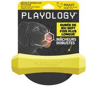 Playology Jouets pour Chiens Bâton à mâcher Durable et couineur pour Chiens | Jouet de Taille Moyenne parfumé au Poulet - Facile à Nettoyer et fabriqué à partir de matériaux Non Toxiques