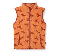 Playshoes Gilet Polaire, Dinosaures, 116 Mixte Enfant
