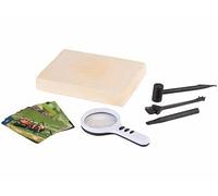 Playtastic Coffret de fouilles pour enfants avec insectes pris dans la résine