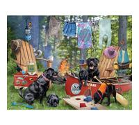 Playview Brands Puzzle de 550 pièces pour adultes Bob Giordano Camping Labs 61 x 45,7 cm
