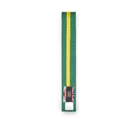 Playwell Ceinture d'arts martiaux en coton coloré avec différentes bandes de couleur - (karaté, judo taekwondo), Ceinture verte avec rayures jaunes, 250cm