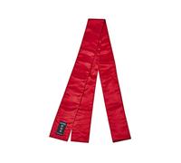 Playwell Écharpe en satin pour arts martiaux Rouge