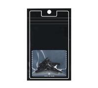 PLCPDM 2. Vis De Guidon À Cycle Hexagonal Fils À Prise Serrée Vernis PVD Mélange d'acier À Haute Résistance Attaches Antirouille Installation Sécurisée Attaches À Main De Vélo À Haute Résistance