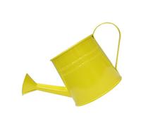 PLCPDM Arrosoir élégant en métal vintage Pot de fleurs décoratif en métal pour la maison et le jardin Petit