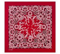 PLCPDM Bandana coloré Paisleys pour homme et femme Imprimé noix de cajou Mouchoir pour le sport et le cyclisme