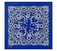 PLCPDM Bandana coloré Paisleys pour homme et femme Imprimé noix de cajou Mouchoir pour le sport et le cyclisme