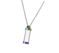 PLCPDM Collier avec pendentif urne funéraire pour cendres avec chaîne réglable pour propriétaires d'animaux domestiques, bijoux de crémation pour cendres souvenirs