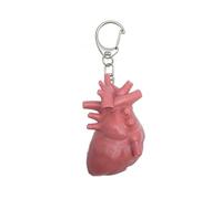 PLCPDM Porte-clés exquis à cinq organes fabriqué en matériaux mixtes pour ceux qui surmontent le chagrin d'amour ou les luttes émotionnelles Porte-clés unique en forme d'organe, Heartbroken By Scumb