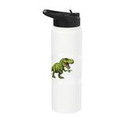 Please Be Patient I'm from The 1900s Funny Graphic Stainless Steel Insulated Water Bottle
