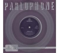 Please Don't Say You Love Me (Cyril Hahn Remix) / Panic Chord (Hucci Remix) [10" Vinyl]