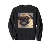 « Please Move Away » Drôle Carlin Mème Flou Sweatshirt