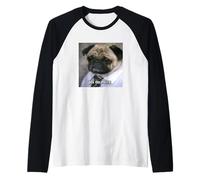 « Please No More » Chien Carlin avec Job Drôle Flou Meme Manche Raglan