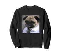 « Please No More » Chien Carlin avec Job Drôle Flou Meme Sweatshirt