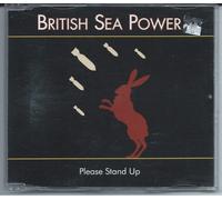 BRITISH SEA POWER - Please Stand Up [Import]
