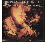 Pleasure Principle - TRIP TO MY SOUL 7" (45) GERMAN ELECTROLA 1990 B/W MYSTERY (1C0062038307) PIC SLEEVE BUT HAS SMALL STICKER