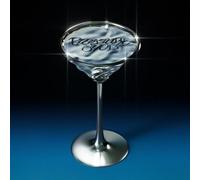 Pleasure Shop Photo Book Version