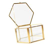 Pleayietoopiatiey Terrarium hexagonal en laiton et verre géométrique pour plantes grasses 12,5 x 12,5 x 6 cm, type 1