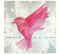 Plebeian love - Big sky, little bird
