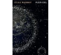 Plein ciel - Cécile Wajsbrot - Bruit Du Temps - broché - Roman